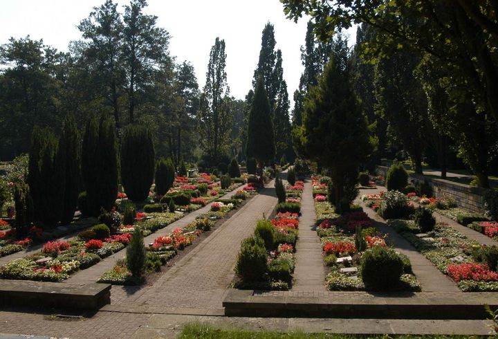 Urnengräber Prökelmoor auf dem Hamburger Friedhof Ohlsdorf